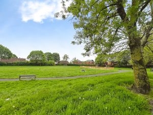 Park- click for photo gallery